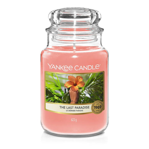 Yankee Candle Classic Large Jar Gram Last Paradise 623G