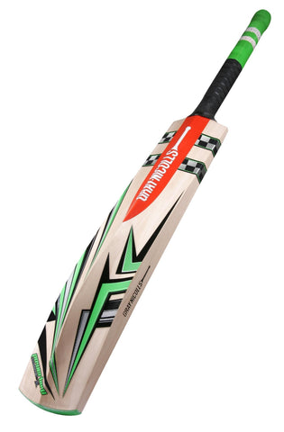 Gray Nicolls Cricket Bat