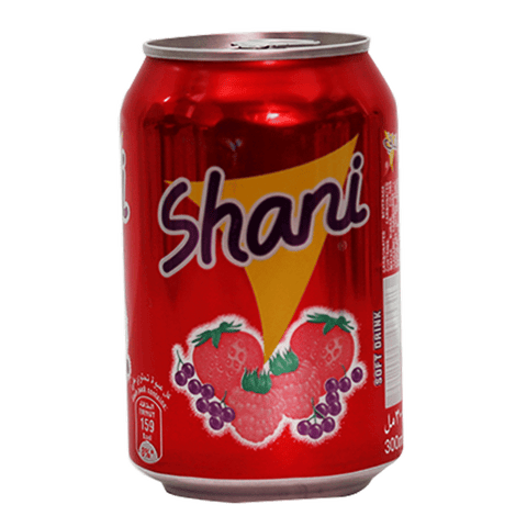 Shani Fruit Flavour Drink300ml