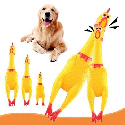 Squawking Hen Toy For Dogs