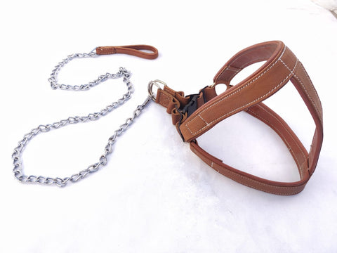 Dog Leather Harness With Chain Leash